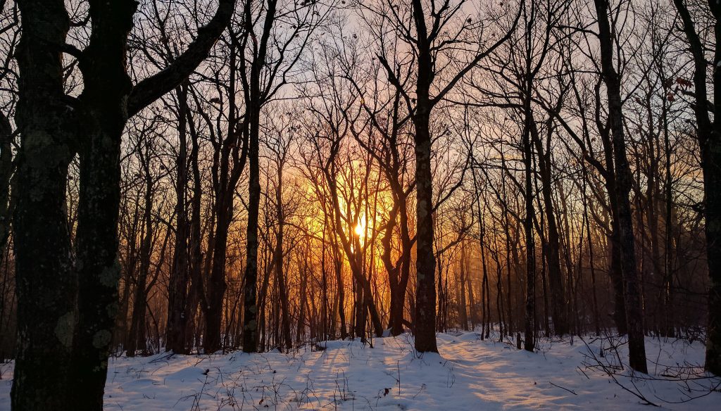 2020 Fall and Winter Newsletter