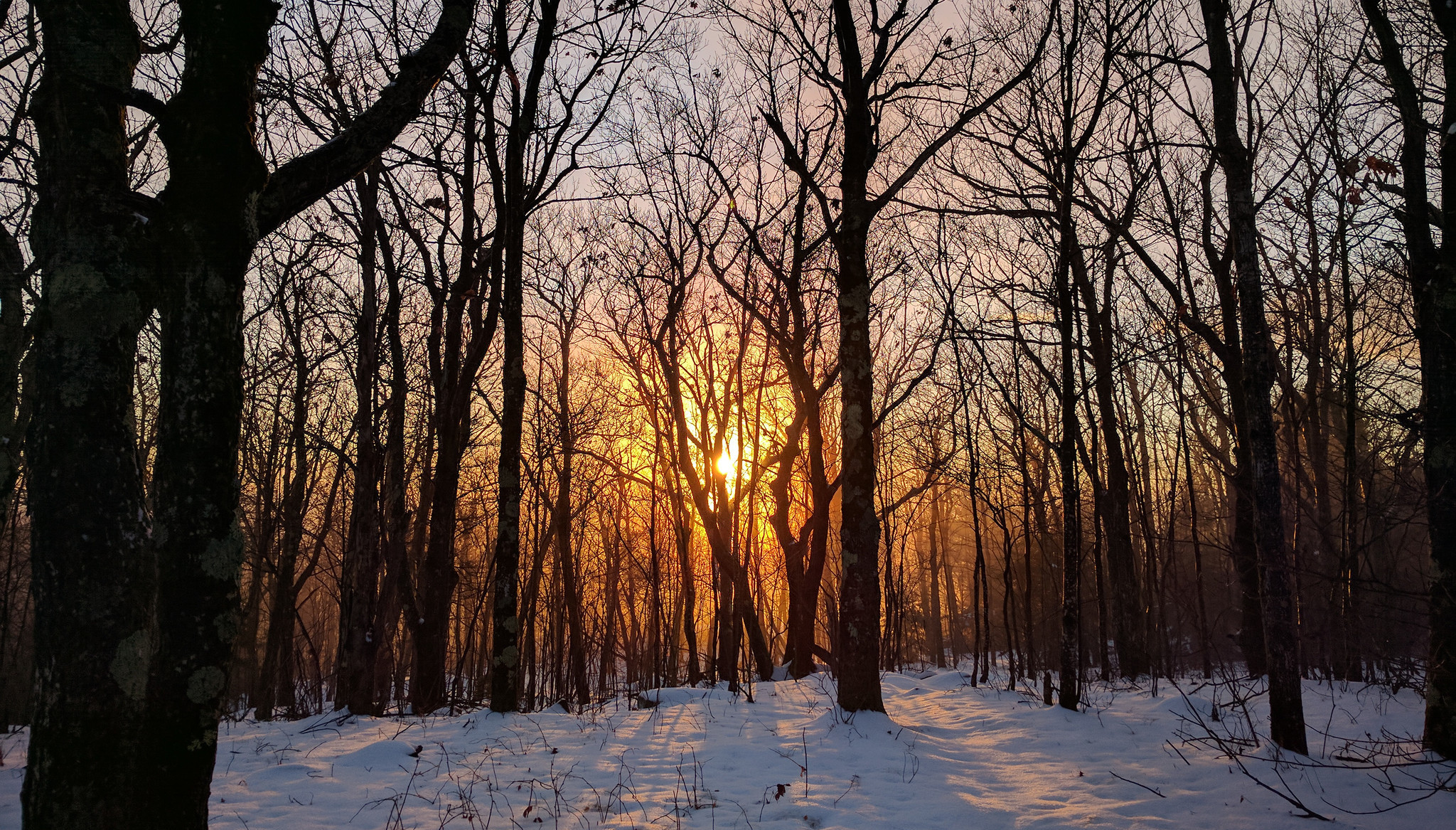 2020 Fall and Winter Newsletter - Friends of the Wapack